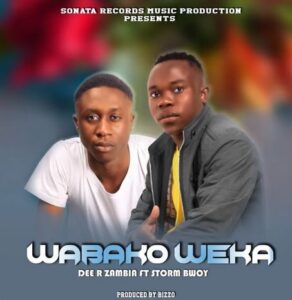 Dee R Zambia Ft. Storm Bwoy – Wabako Weka Mp3 Download