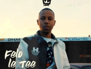 Felo Le Tee Myztro – Pitori 012 Leak