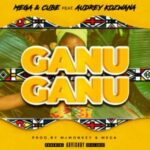 Mega – Ganu Ganu