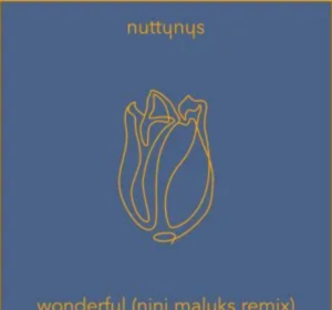 Nutty Nys – Wonderful (Nini Maluks Remix)