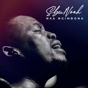 Sbu Noah – Nxa Ngimbona (Live) Mp3 Download