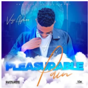 Vusi Alphaa – Pleasurable Pain