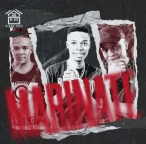 BL Zero, Lebzito & Kamo the Vocalist – Marinate ft Major League Djz & DJ Karri Mp3 Download