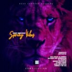 Msindo De Serenade – Famba (Go Away)