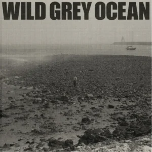 Sam Fender – Wild Grey Ocean