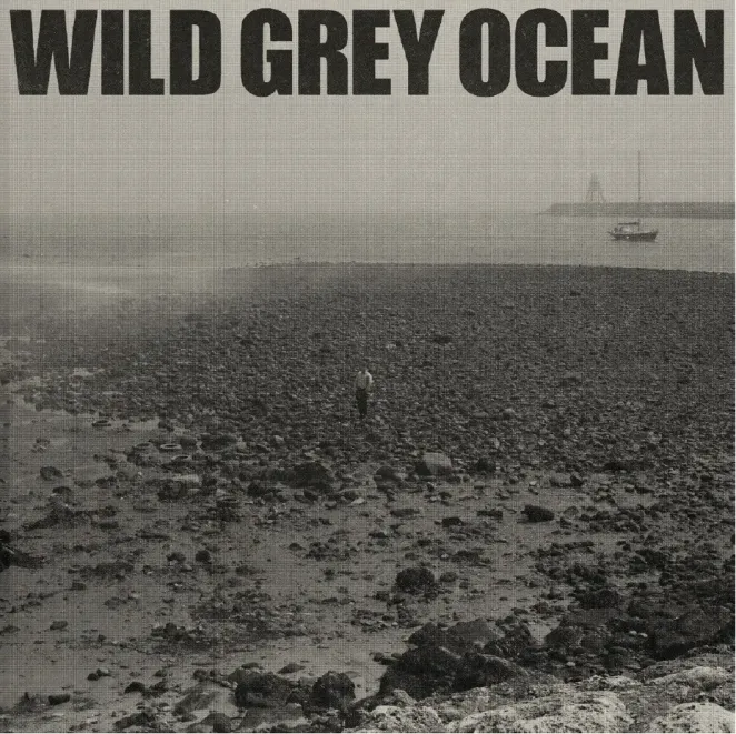 Sam Fender – Wild Grey Ocean Mp3 Download