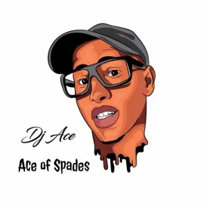 DJ Ace – Too Much Souce
