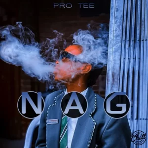 Pro-Tee – Untold Stories Mp3 Download