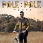 Pompi – Wild
