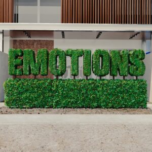 BILLA JOE & Summer Cem – Emotions