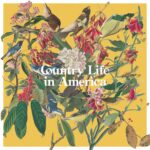 Charlie Kaplan – I Was Doing Alright