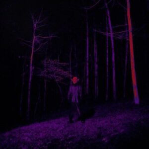 Destroy Lonely – Check The Fleet