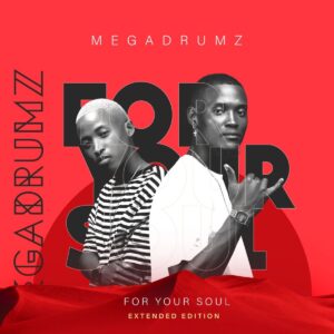 Megadrumz Ft. Lady Du – Tjina