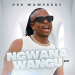 VEE MAMPEEZY X KILLORBEEZBEATZ x SPHALAPHALA SAGA MAROTHI – VULE MASANGO