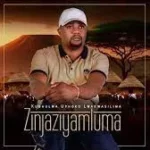Zinjaziyamluma – Kwasa Singalele