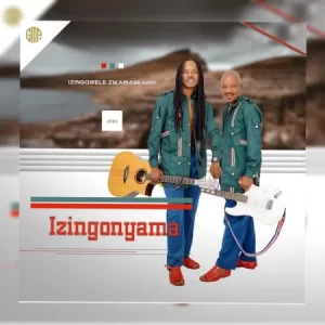 Izingonyama – Ukuhamba Ukubona