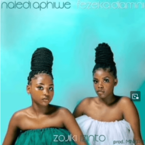 Naledi Aphiwe & Fezeka Dlamini – Zojiki Izinto Mp3 Download