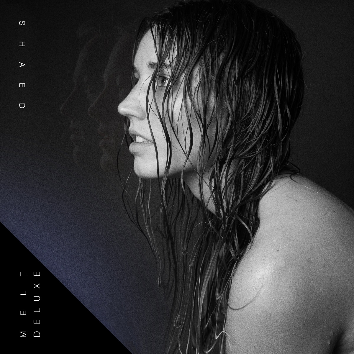 SHAED Ft. ZAYN – Trampoline Mp3 Download
